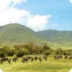 Scenic view of lush green fields with mountains in the background, showcasing The Husna Experience's natural beauty and tranquility.